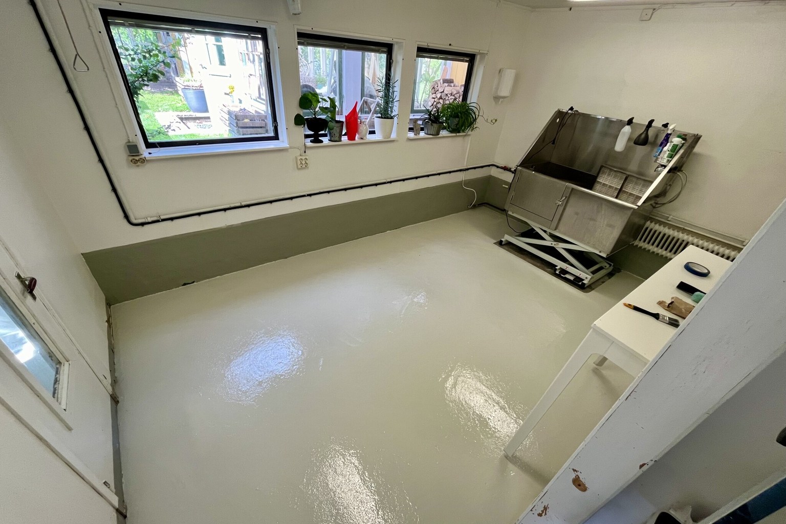 Pale epoxy floor in a dog grooming room beside a raised stainless steel wash tub.