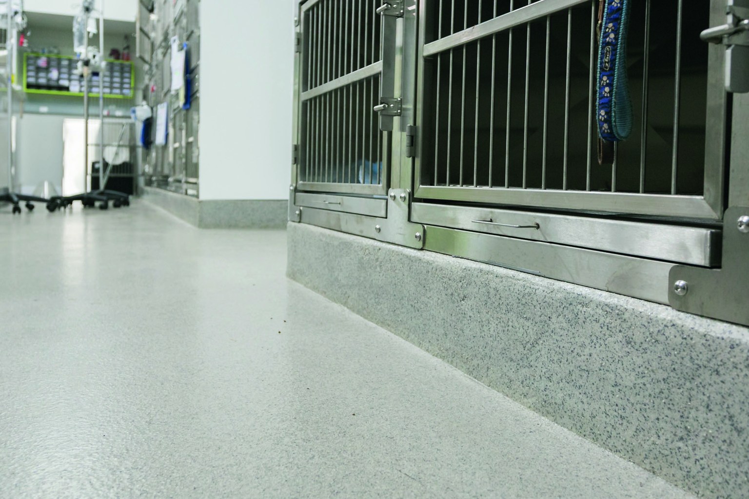 Veterinary hospital kennels beside a seamless pale gray resin floor and coved base.
